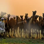 Celebrating Excellence in Visual Storytelling: Fotofigure’s Recognition by Karnavati Club