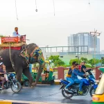 Innovators in Photography: Honored by Creative Photographers Forum, Kannur (Kerala)