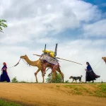 Radiant Moments: Joyfully Celebrating Ahmedabad’s Vibrant Club Life Through Photography