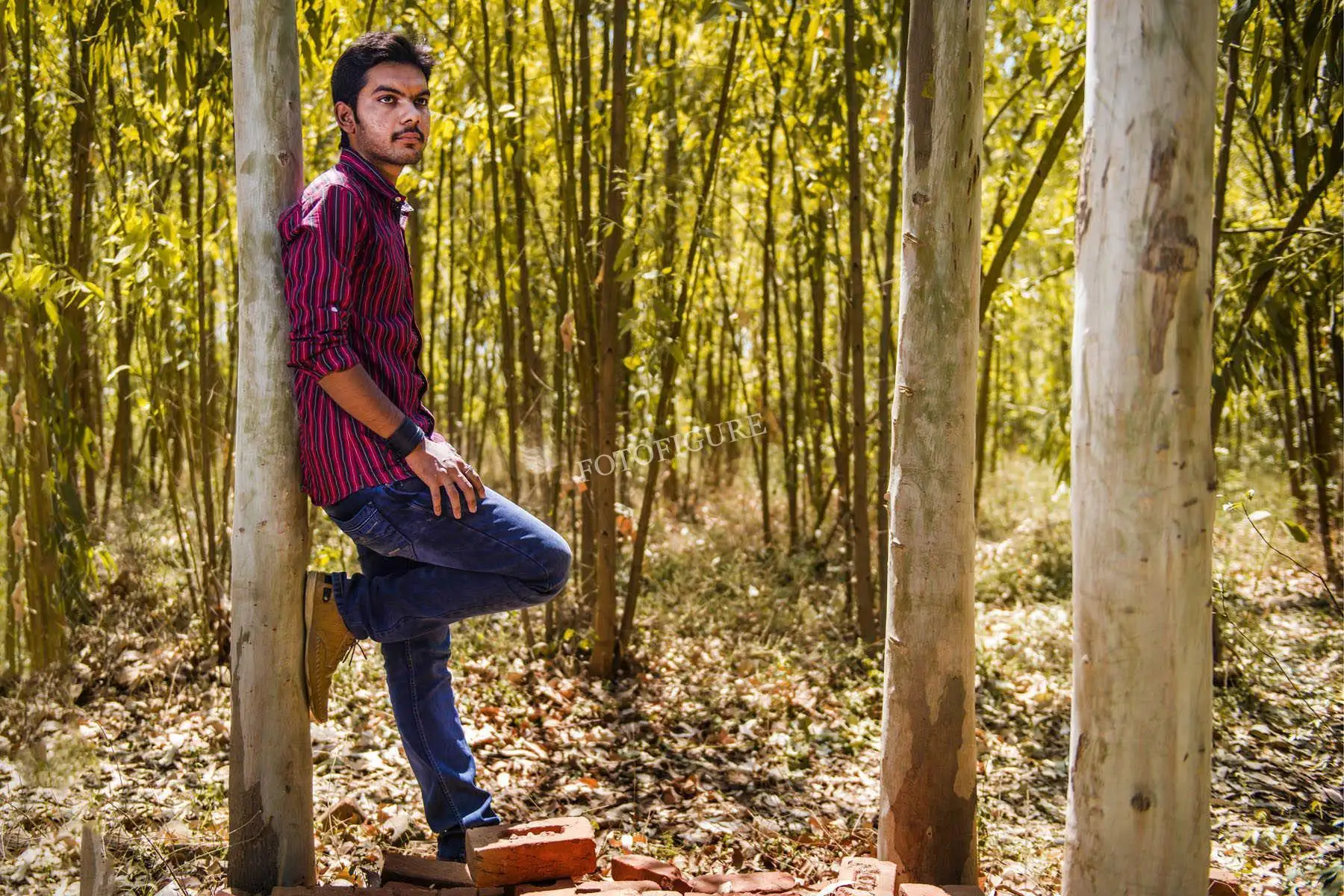 Timeless Reverie of Graceful Spirit